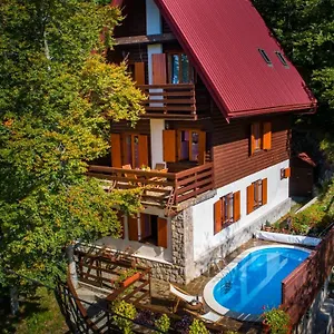 Vila Vila Platak, Rijeka